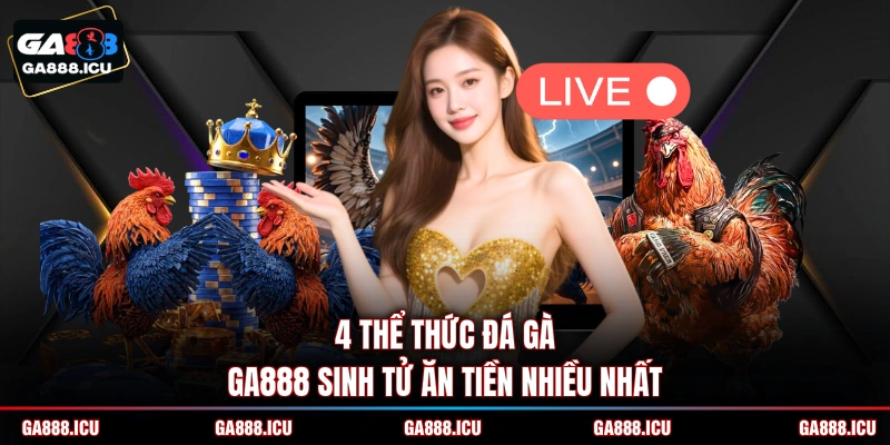 4 thể thức đá gà GA888 sinh tử ăn tiền nhiều nhất