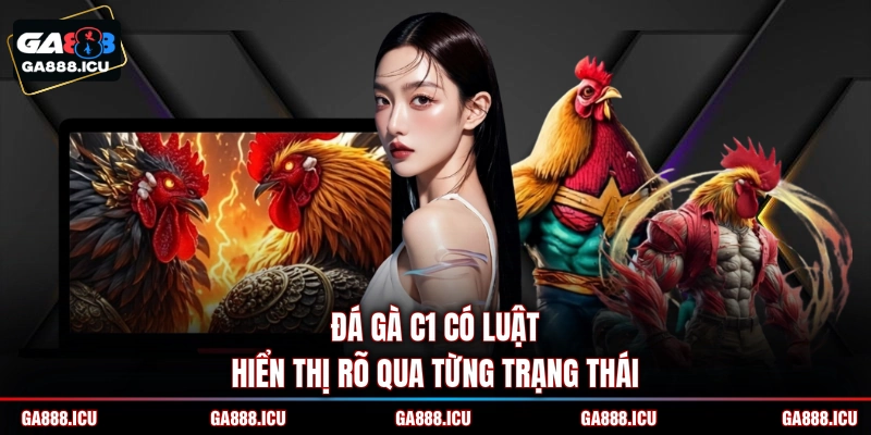 Đá gà C1 có luật hiển thị rõ qua từng trạng thái