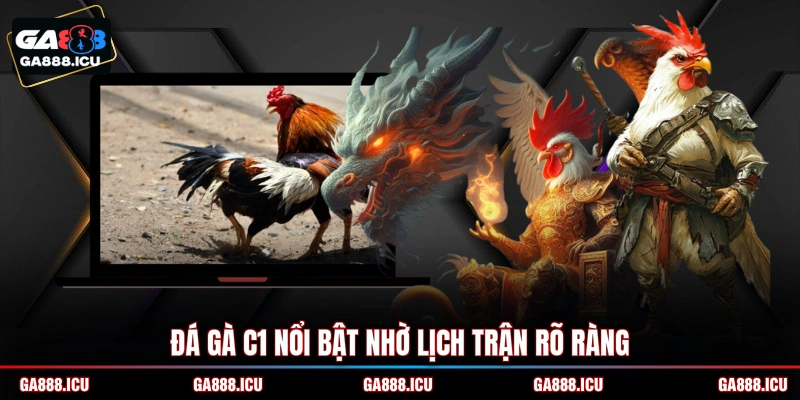 Đá gà C1 nổi bật nhờ lịch trận rõ ràng