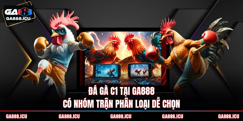 Đá gà C1 tại GA888 có nhóm trận phân loại dễ chọn