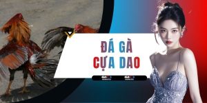 Đá Gà Cựa Dao - Sân Chơi Giải Trí Đẳng Cấp Top 1 Việt Nam