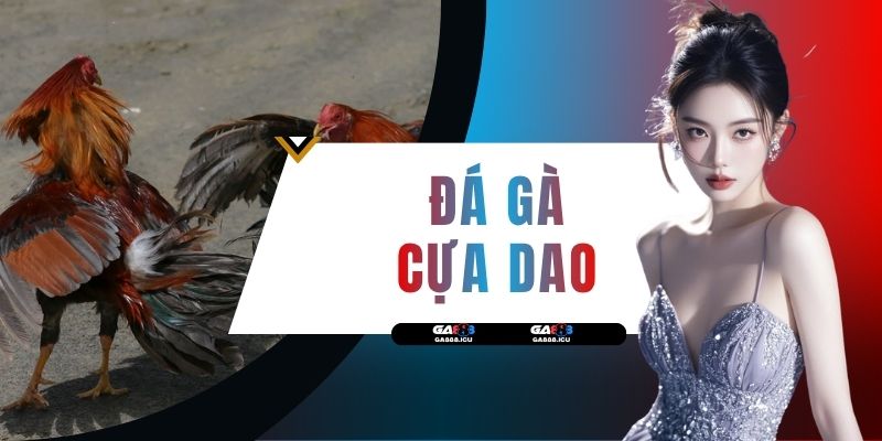 Đá Gà Cựa Dao - Sân Chơi Giải Trí Đẳng Cấp Top 1 Việt Nam