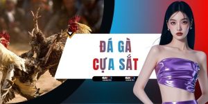 Đá Gà Cựa Sắt GA888 - Phân Tích Sát Thương & Mẹo Săn Thưởng