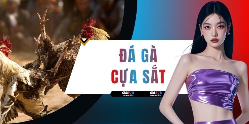 Đá Gà Cựa Sắt GA888 - Phân Tích Sát Thương & Mẹo Săn Thưởng