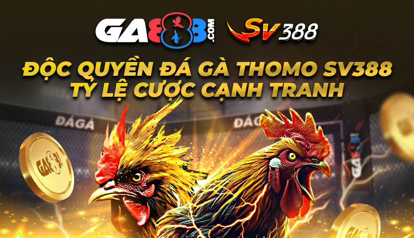 da-ga888-1