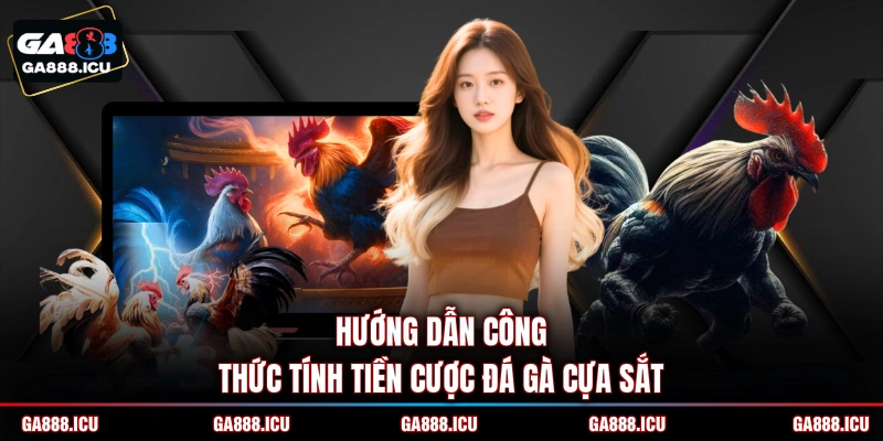 Hướng dẫn công thức tính tiền cược đá gà cựa sắt