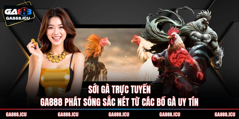 Sới gà trực tuyến GA888 phát sóng sắc nét từ các bồ gà uy tín 